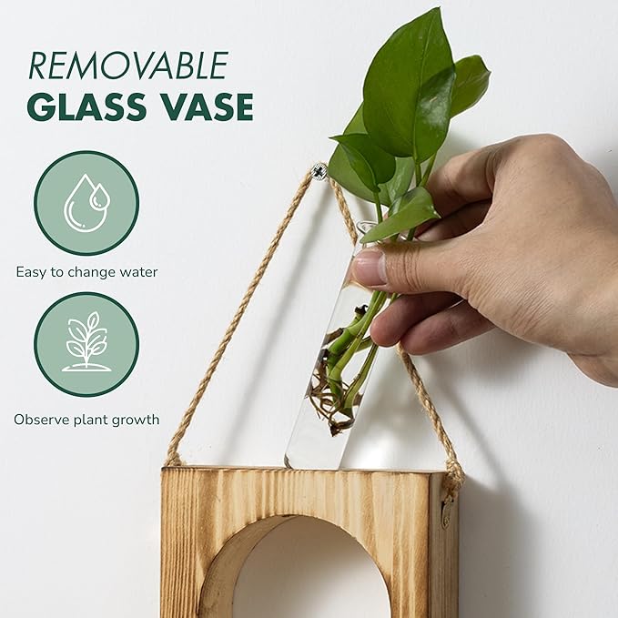 · GARDEN REPUBLIC · Propagation Stations Set of 2 - Propagation Vases for Plants - Hanging Wooden Wall Planter and Glass Test Tubes - Indoor Plant Holder, Hydroponic Decor