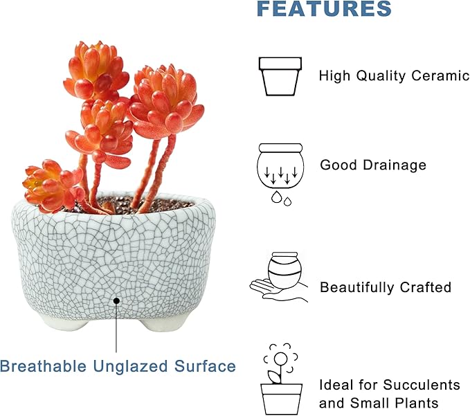 Bonsai Planter 1.8 inch (4.5cm) Mini Succulent Glazed Pots Set of 6 Gray White