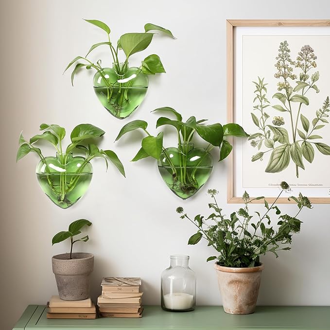 Wall Hanging Planter Propagation Station for Indoor Plants Glass Vase Air Plant Holder for Bathroom Living Room