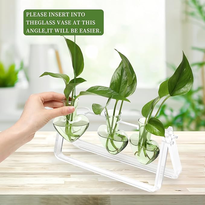 Clear Plant Terrarium Propagation Stations with Acrylic Stand Birthday Gifts for Women Office Home Decor