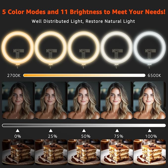 10" LED Ring Light with Overhead Phone Stand, CRI≥95 1200lm Dimmable Lighting, Adjustable Metal Arm with Remote & Phone Holder, for Streaming, Makeup, Zoom Calls, Photography