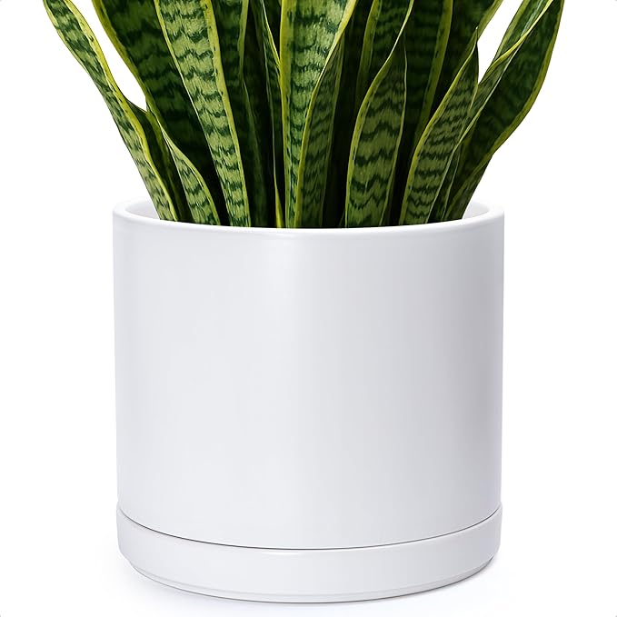 D'vine Dev 14 Inch Ceramic Planter Pot with Drainage Hole and Saucer, Indoor Cylinder Round Planter Pot, White, 94-O-G-1