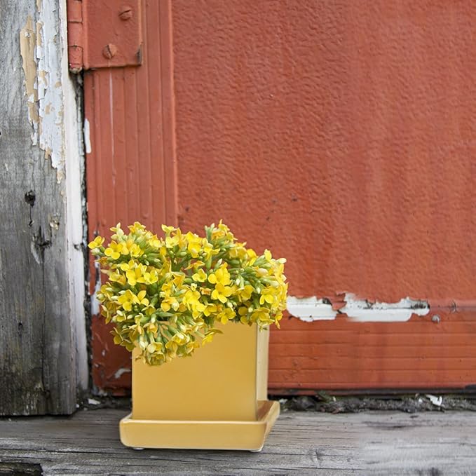 CHIVE - 3 Piece Set Square Succulent Cactus Planter Pot, 3 Inch Ceramic Flower Plant Container, Drainage Hole/Saucer, Mini Pot Indoor/Outdoor Garden (Goldenrod)