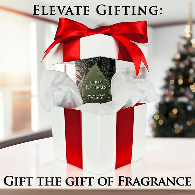 Urban Naturals Sandalwood & Eucalyptus Reed Diffuser Set – Made with Essential Oils & Real Botanicals – Sleek Rectangular Refillable Glass Bottle – Made in The USA