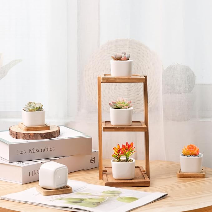 T4U 2 Inch Small White Succulent Planter Pots with Bamboo Tray Square Set of 6, Ceramic Flower Pots Cactus Air PlantContainers,Succulent Plant Gifts for Women Coworker, Modern Home and Office Decor