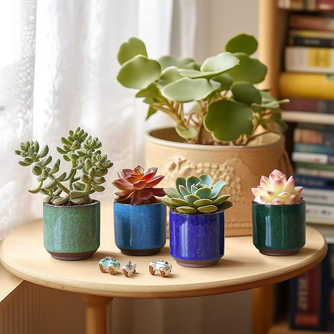 T4U 2.5 Inch Small Ceramic Succulent Planter Pot with Drainage Hole Set of 12, Ice Crack Glaze Plant Container for Cactus, Plant Lover Gifts for Women Mom Coworker Home Office Decor