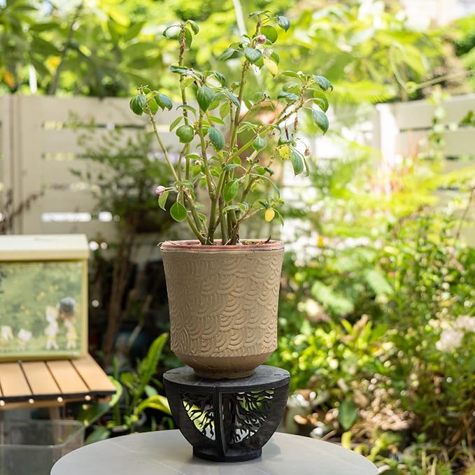 Indoor Wooden Plant Stand Holder for Sill, Desktop, - Single Flower Pot Rack for Small Plants - Unique Tree Root Design Elevate Your Plants in Style and Provide Additional Sunlight