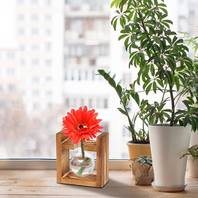 Kingbuy Glass Plant Terrarium - 1 Bulb Propagation Station with Retro Wood Stand Indoor Garden Planter, Bulb Vase & Desktop Decor for Home Kitchen Wedding, Gift for Women & Plant Lover