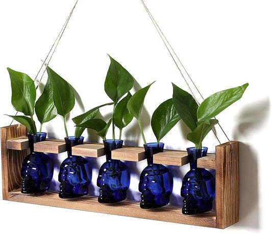 Plant Terrarium Propagation Stations Halloween Skull Planter Vase Skulls Decor with Wooden Stand Gife for Father - 5 Vases