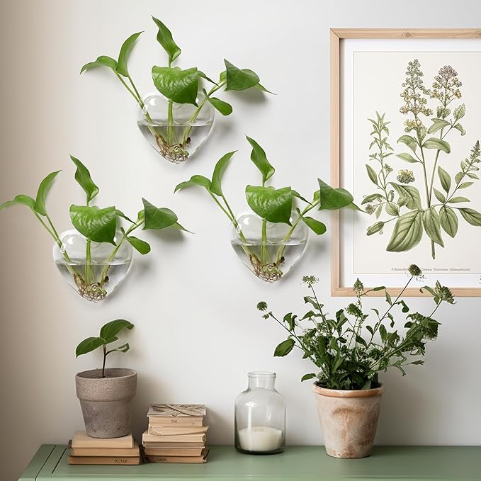Wall Hanging Planter Propagation Station for Indoor Plants Glass Vase Air Plant Holder for Bathroom Living Room