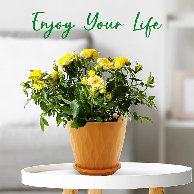 6 inch Plant Pots, 5 Pack Flower Pots Outdoor Indoor, Planters with Drainage Holes and Tray Saucers（Multicolor）