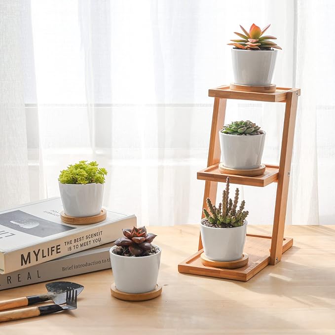 T4U 2.5 Inch Mini White Succulent Planter Pots with Bamboo Tray Round Set of 6, Tiny Ceramic Succulent Air Plant Flower Pots Cactus Faux Plants Containers, Gifts for Plant Lover, Home and Office Decor