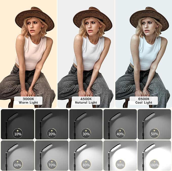 Desk Ring Light with Stand and Phone Holder, 3000K-6500K Dimmable Computer Ringlight for Laptop, Video Conference Light for Zoom Meeting, Video Calls, Webcam, Desktop Light for Video Recording