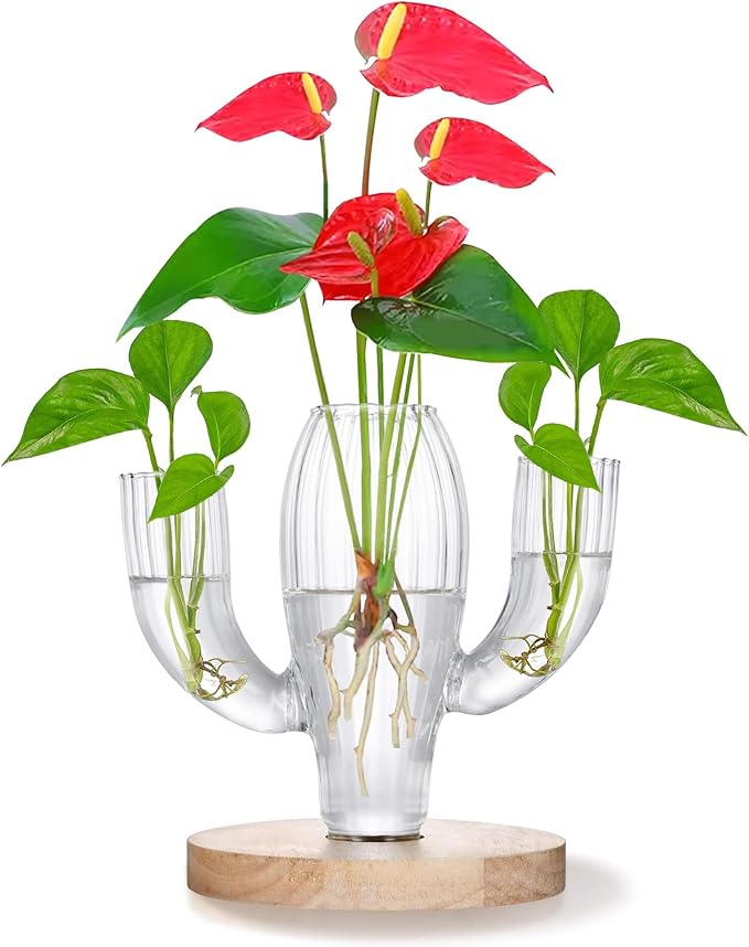 Plant Propagation Stations, Unique Cactus-Shaped Plant Propagating Vase, 3 Independent Areas for Various Plants, Gardening & Housewarming Gifts for Plant Lovers, Home or Office Decor