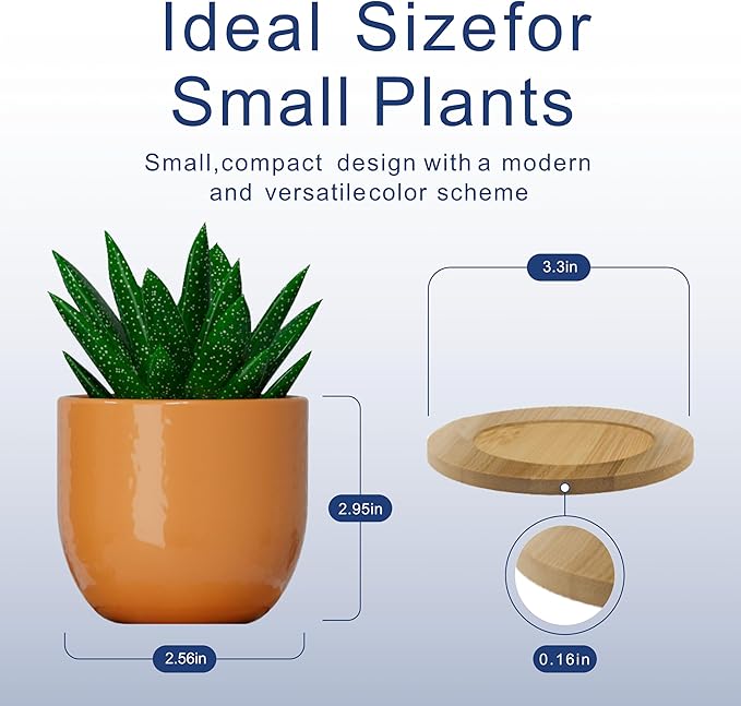 Mini Succulent Plant Pots – 2.5" Ceramic Planters with Bamboo Coasters, Set of 5 | Small Indoor Pot Set, Sunrise Color Theme, Drainage Hole, Decorative Gift Box