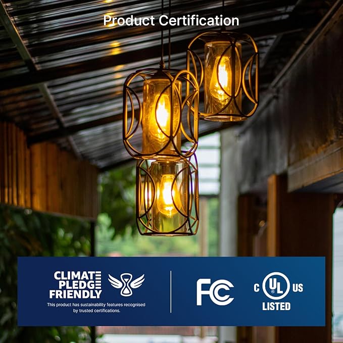 FLSNT 100W Equivalent LED Edison Bulbs, ST19 Dimmable Antique LED Light Bulbs, 2450K Warm White, 8W, 900LM, E26 Base, Amber Glass, 12 Pack