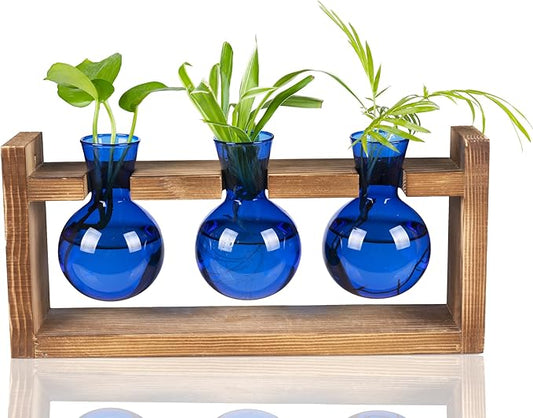 Kingbuy Glass Plant Terrarium Propagation Station - 3 Bulb Colored Vases with Retro Wood Stand Indoor Garden Planter - Wall Mounted & Desktop Decor for Home Kitchen Wedding, Gift for Plant Lover, Blue
