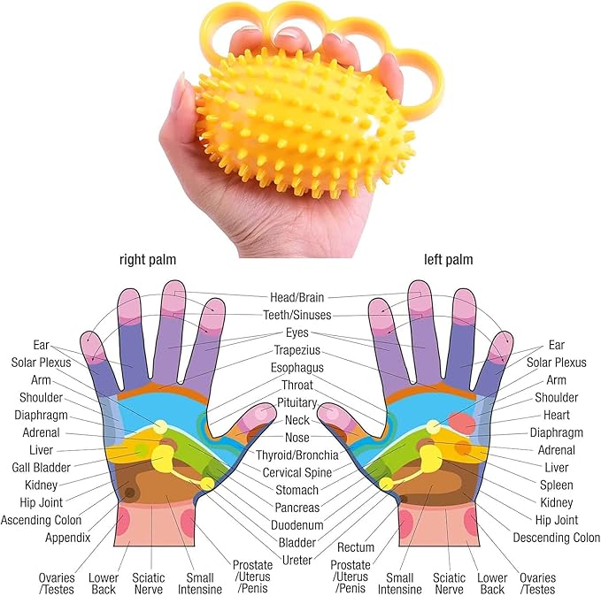 Physical Hand Therapy Ball, Designed to Help the Elderly and Disabled Increase Hand Strength. Massage and Exercise Your Hands to Improve the Flexibility of the Fingers and Restore the Strength of the Hands
