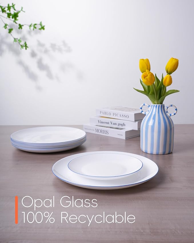 10.5 inch Dinner Plate Set of 6, Lightweight Round Opal Glass Dinnerware Plates, Dishwasher and Microwave Safe, Hand Painted Navy Blue Rim