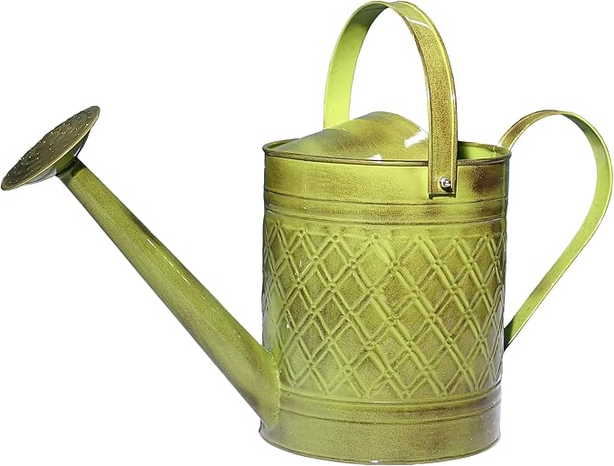 Robert Allen Home & Garden MPT01500 Wexley Metal Watering Can, 2 Gallon, Tansy Green