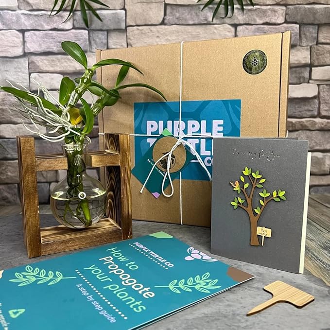 Kingbuy Glass Plant Terrarium - 1 Bulb Propagation Station with Retro Wood Stand Indoor Garden Planter, Bulb Vase & Desktop Decor for Home Kitchen Wedding, Gift for Women & Plant Lover