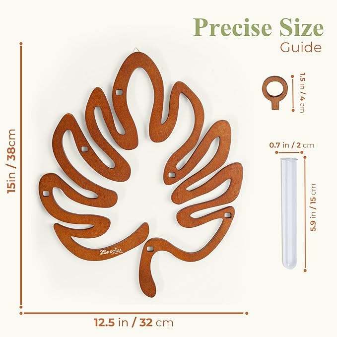 2Special Propagation Stations | Hanging Propagation Station and Wall Planters for Indoor Plants | Wooden Wall Vase, 6+1 Glass Propagation Vases for Plants | Leaf Shape Plant Propagation Station