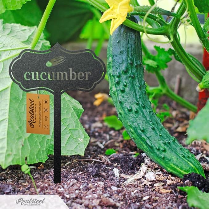 RealSteel - Seed & Plant Markers - Indoor/Outdoor Herb Garden Stakes - Elegant Fruit/Vegetable Seed Labels - Durable Plant Tags for Pots - Classy Design for Farmhouse/Greenhouse (Okra)