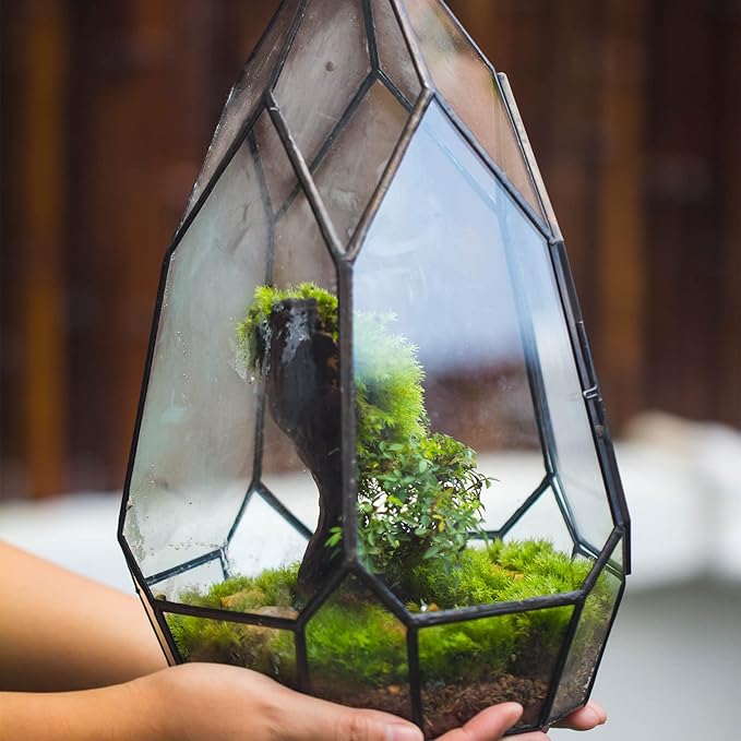 NCYP Modern Black Glass Geometric Terrarium Container with Door - Balcony Planter DIY Display Flower Pot for Succulent Fern - Tabletop Miniature Botanical Fairy Garden (No Plants)