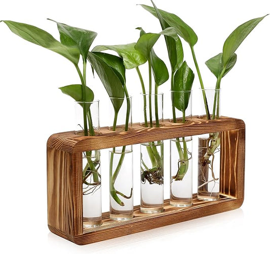 Glass Plant Propagation Station with 5 Test Tubes Colorful Planter Vase Birthday Gifts for Women Mom Plant Lovers with Wooden Stand