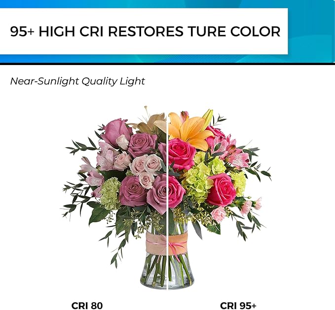 Hizashi Edison Bulbs Dimmable, Vintage LED Bulb, 4W Equivalent 40W, 5000k Daylight, E26 Base Led Light Bulbs, 450LM, High CRI 95+ Eye Protection, Clear Glass, Pack of 24