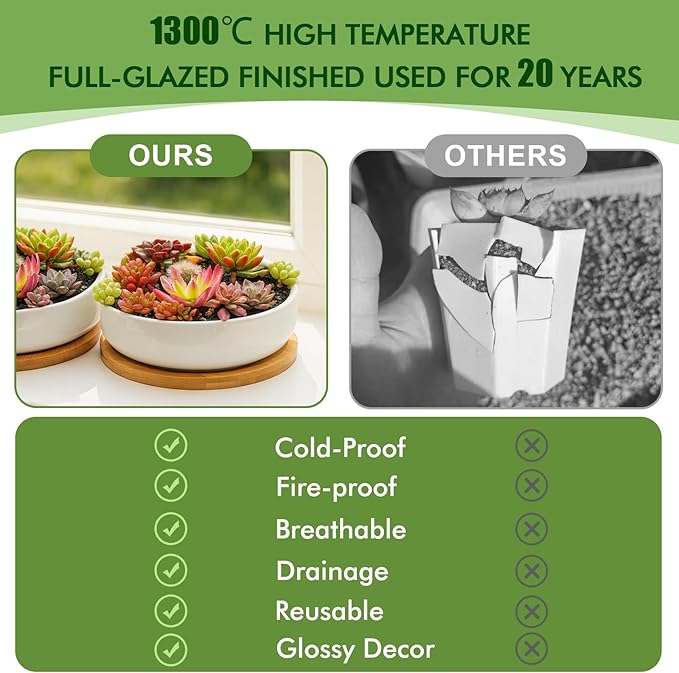 ZOUTOG Succulent Pots,6 Inch Succulent Planters with Drainage and Tray,White Ceramic Planters for Indoor Plants,Round Shallow Flower Plant Pots,6 Pack