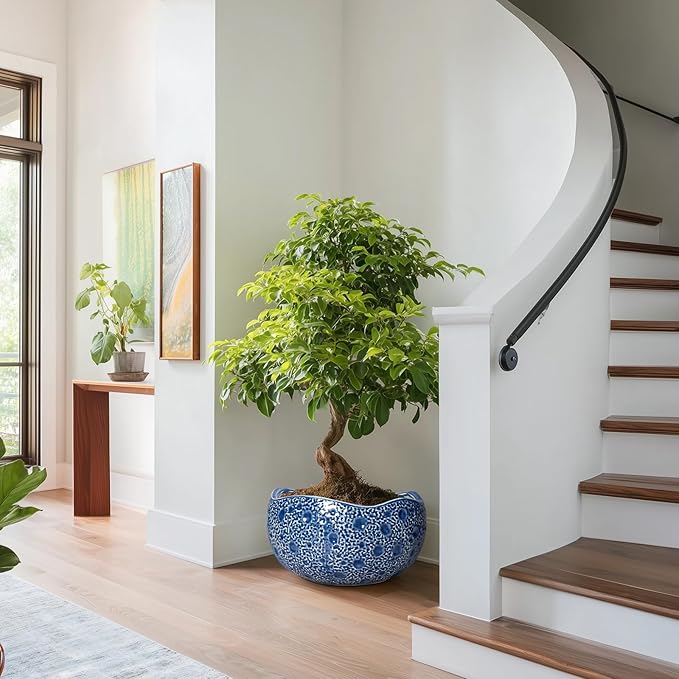 Bonsai Tree Pot - 13 Inch Large Ceramic Pots for Plants Indoor Outdoor, Round Planter, Decorative Flower Pot with Drainage Hole, Modern Unique Planter, Garden Decor Home, Garden Gifts, Blue