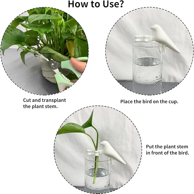 Plant Propagation Station-Plant Support for Cuttings, Shoots, Stems, and Sprouts, Plant Stem Support,Plant Propagation Buddy,2 Cute Gardening Gifts for Women,Propagation Vases for Plants. (2, White)