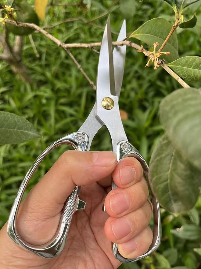 Indoor Plant Shears Bud Trimming Scissors, Japan SK5 Stainless Steel Floral scissors, Flowers Herbs and Stem Cutters, Clippers, Trimmers, Loppers, Bonsai Garden Pruning Scissors