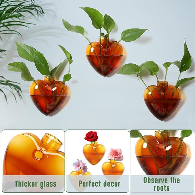 Wall Hanging Planter Propagation Station for Indoor Plants Glass Vase Air Plant Holder for Bathroom Living Room