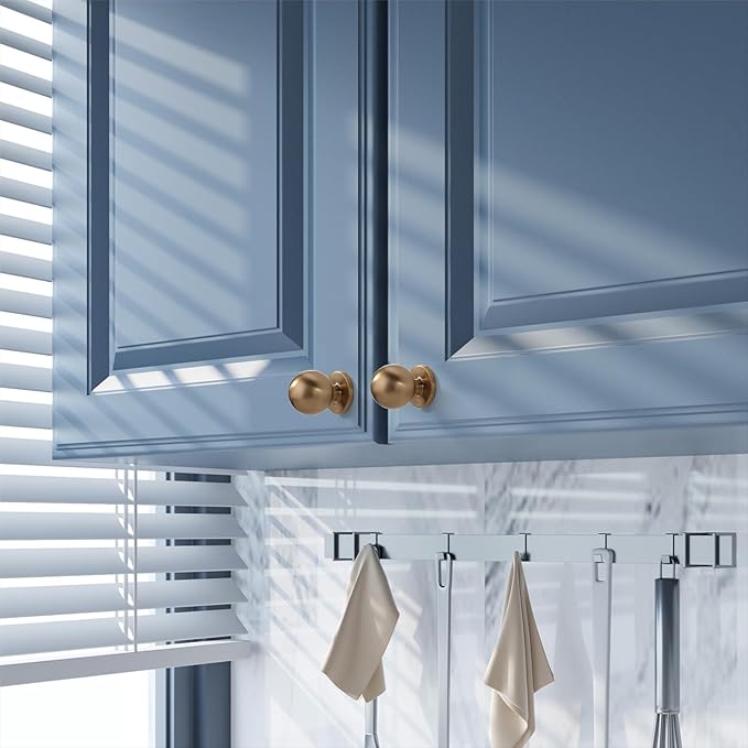 Asidrama 10 Pack Champagne Bronze Kitchen Cabinet Knobs, Cabinet Knobs Kitchen Cabinet Hardware for Cupboard Drawer Knobs Dresser Knobs