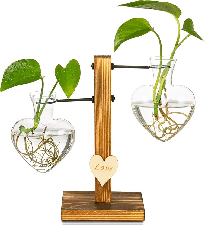 Kingbuy Heart Shaped Glass Hydroponic Vase with Retro Wooden Stand - Desktop Plant Terrarium for Bulb Planter, Water Plant Propagation Glass Vase Pot Planter Flower Desktop Decoration Home Garden
