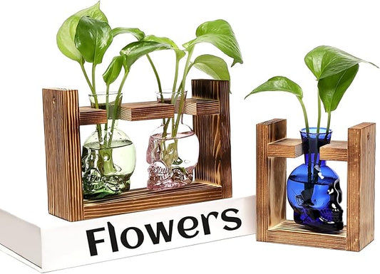 2+1 Plant Terrarium Plant Propagation Station Gifts for Father Halloween Skull Home Office Decor with Wooden Stand