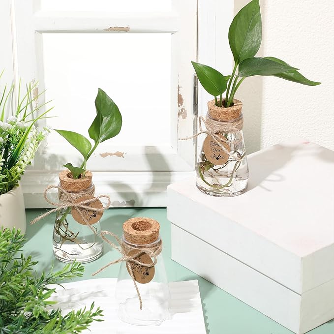 Baderke 3.35'' Plastic Plant Propagation Stations with Hole Lid Planter Vase Clear Propagation Jars with Thank You Tags for Plant Lover Gifts for Women Office Home Garden(12 Pack,Cute)