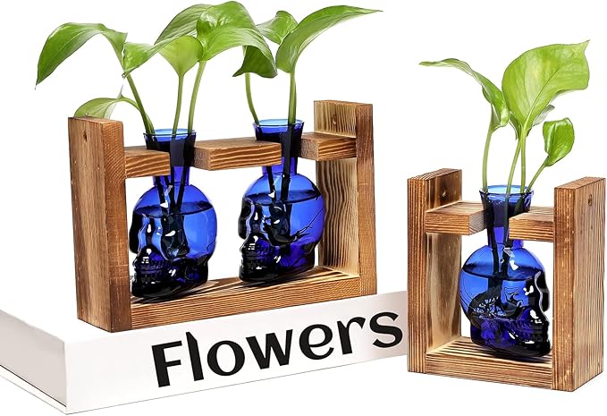 2+1 Plant Terrarium Plant Propagation Station Gifts for Father Halloween Skull Home Office Decor with Wooden Stand