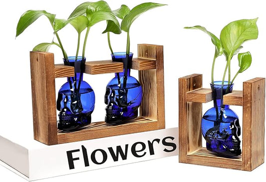 2+1 Plant Terrarium Plant Propagation Station Gifts for Father Halloween Skull Home Office Decor with Wooden Stand