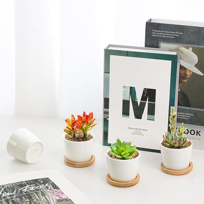 T4U 2.5 Inch Mini White Succulent Planter Pots with Bamboo Tray Round Set of 12, Tiny Ceramic Succulent Air Plant Flower Pots Cactus Faux Plants Containers, Gifts for Plant Lover, Home Office Decor