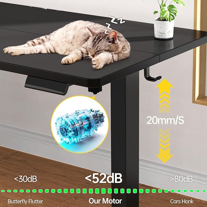 Veken 55 Inch Large Electric Standing Desk, Heights Adjustable,Sit to Stand Up, Work Home Office Computer Table for Study, Walking Pad, Writing, and Games, Wooden Desktop Desks, Black