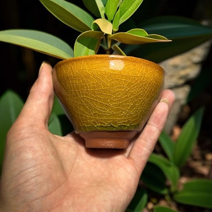 Ceramic Incense Burner Holder for Sticks, Handmade Incense Cone Holder for Coil, Sage Cones, Ash Catcher, Smudge Bowl for Yoga Meditation Room Décor