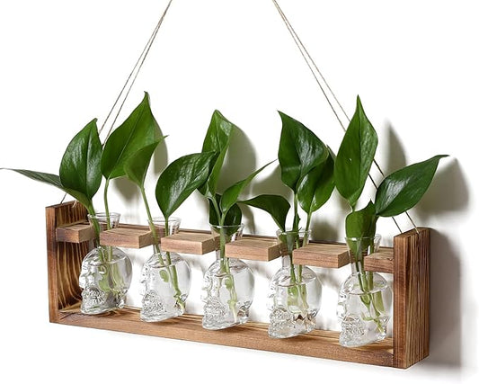 Plant Terrarium Propagation Stations Halloween Skull Planter Vase Skulls Decor with Wooden Stand Gife for Father - 5 Vases