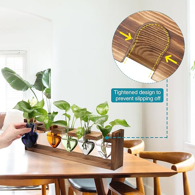 Plant Terrarium Hanging Propagation Stations Gift for Women Air Plants Holder with Wooden Stand Heart Glass