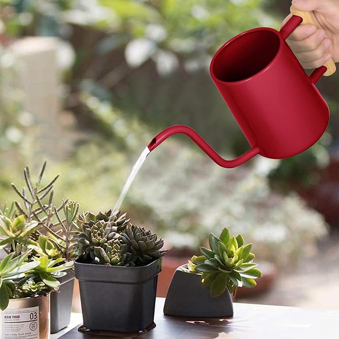 Watering Can Indoor Plants, 35 oz/1000 ml Metal Stainless Steel Watering Can Pot with Long Spout for Indoor House Plants Bonsai Outdoor Garden Flower Decorative (Red)