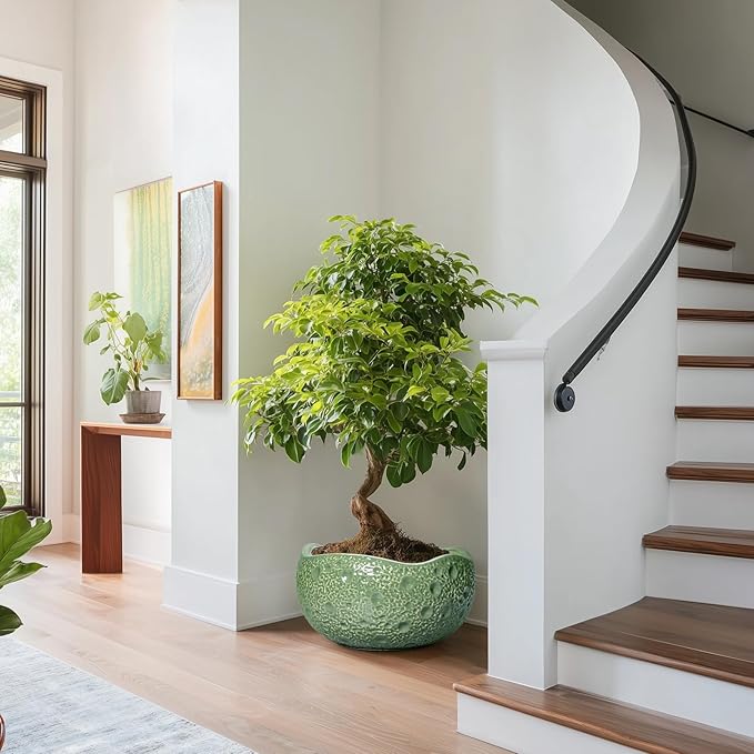 Ceramic Pots for Plants - 13 Inch Large Bonsai Pots Indoor Outdoor, Round Plant Pot with Drainage Hole, Decorative Flower Pot, Modern Unique Planters, Patio Decor, Plant Lover Gifts, Green