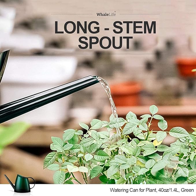 WhaleLife Indoor Watering Can for House Bonsai Plants (1.4L, Green)