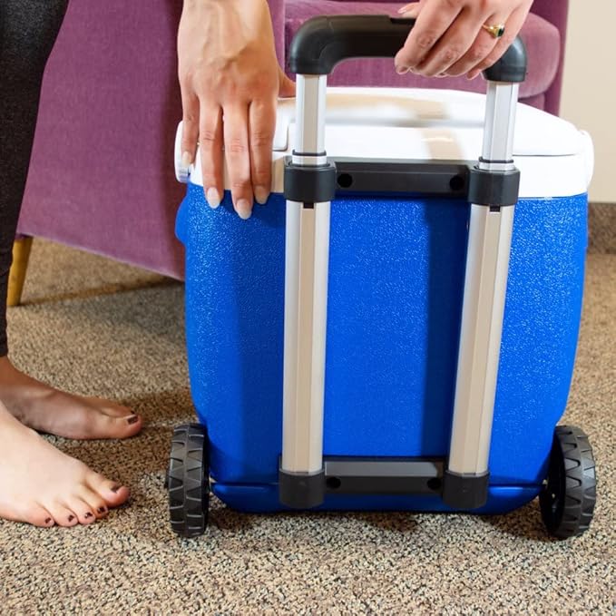 Polar Active Ice 3.0 Cold Therapy Ice Machine System w/Programmable Timer, Extended Coverage Back, Hip and Limb Compression Pad, 16 Quart Cooler, Quiet Pump, Strong Cryotherapy Pain Relief Treatment